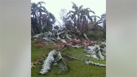 Papua New Guinea Quake Killed At Least 15 Governor Says Fox News