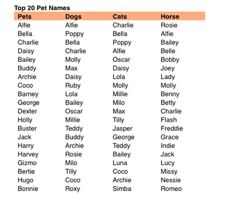 It is exactly for this reason that finding the perfect name for your newly adopted grey cat may prove to be quite difficult. Cat Owners Play Safe on Cat Names - PoC