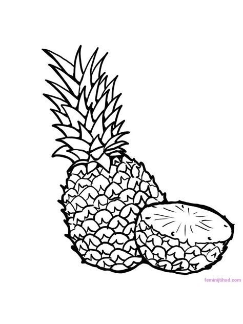 Pineapple Coloring Page Download Free Pineapple Is A Tropical Plant