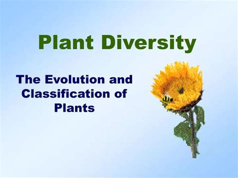 Ppt Plant Diversity Powerpoint Presentation Free Download Id3149806