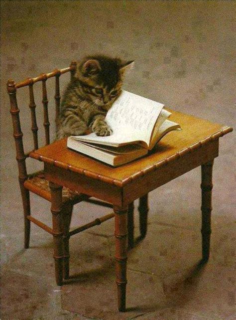 Check spelling or type a new query. karya ku : paridah ishak: HUJAN EMAS DI NEGERI ORANG...