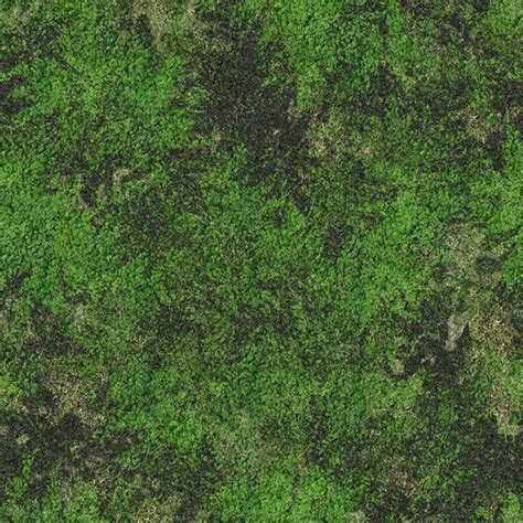 Grass Texture Seamless 4k Gotleo