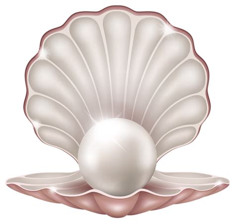 Beautiful Clam With Pearl Png Clipart Image Pearl Images Pearls