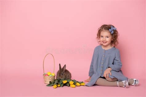 Blu Rabbit Stock Photos Free Royalty Free Stock Photos From Dreamstime