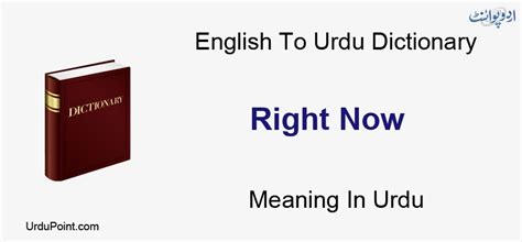 Right Now Meaning In Urdu صحیح اب English To Urdu Dictionary