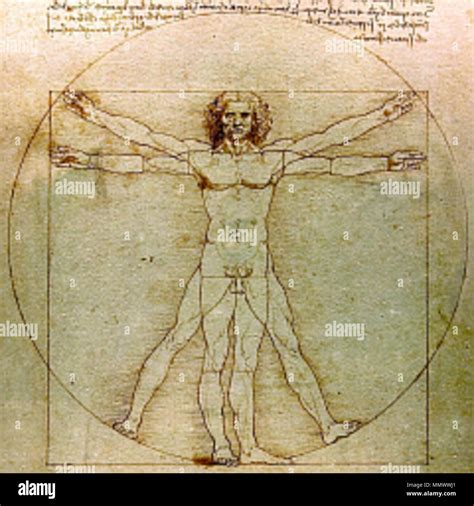 Proportionsschema Fotografías E Imágenes De Alta Resolución Alamy