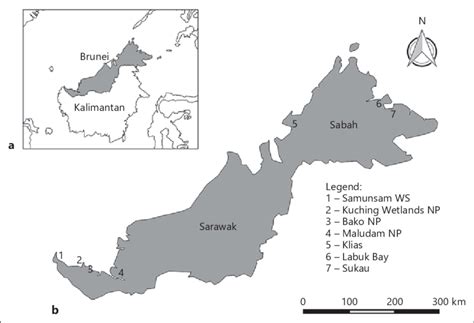 Inset Map A Showing The Island Of Borneo With Sabah And Sarawak