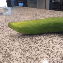 Cucumber Pickle Gif Cucumber Pickle Dance Discover Share Gifs