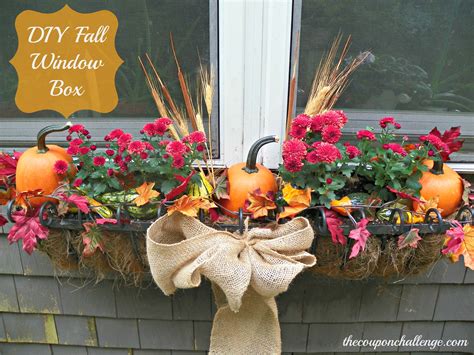 Nothing else would do well in those window boxes, but we barely do anything at all to this. Fall Window Boxes