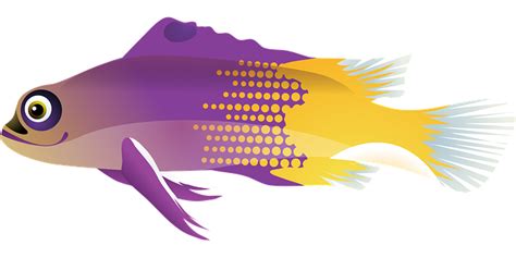 60 Free Tropical Fish And Fish Vectors Pixabay