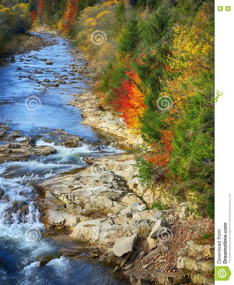 Autumn Creek Woods And Rocks In Forest Mountain Stock Photo Image Of