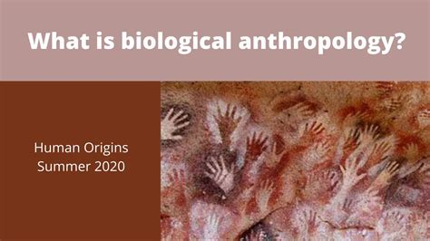 What Is Biological Anthropology Youtube