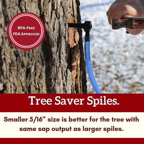 Maple Syrup Tree Tapping Kit Book 10 Tree Saver Spiles 10 Three