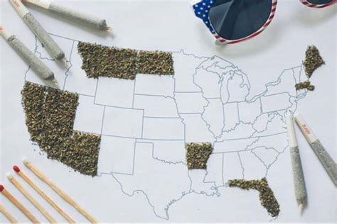 weed slavery and condoms… 9 things that americans will vote on today