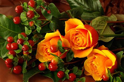 1080p Free Download Orange Roses Pretty Orange Scent Bonito