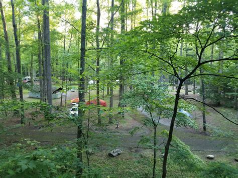 Everything You Ever Wanted To Know About Elkmont Campground In The