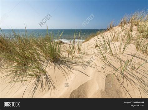 Sand Dune Beach Grass Image And Photo Free Trial Bigstock