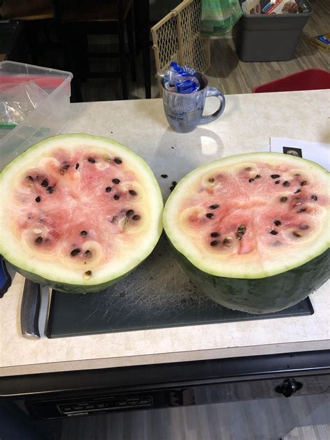 What Went Wrong Barely Pink And Has The Texture Of An Overripe Melon