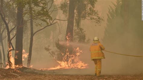 Australia Fires New South Wales Declares State Of Emergency Amid