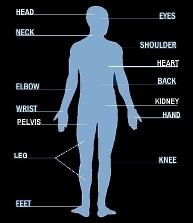 Body parts pictures for classroom and therapy. body parts names | Diabetes Inc.