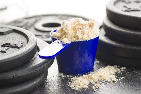 Protein Powder For Weight Gain How Could You Reach Your Goals Faster