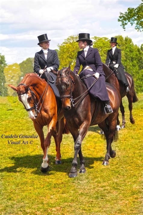 pin-by-lana-mclaurin-on-horses-riding-helmets,-horseback-riding,-riding