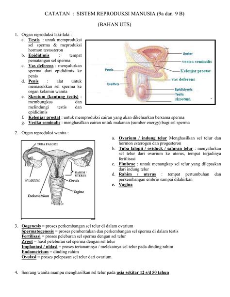 Top Pdf Anatomi Dan Histologi Organ Reproduksi Manusia Dok Com Sexiz Pix