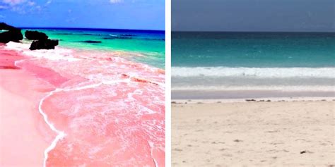 Pink Sand Beaches Bahamas Really Pink Business Insider