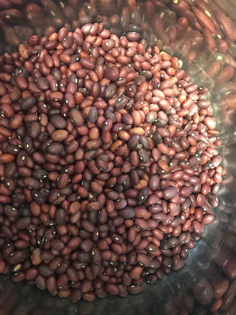 How To Cook Small Red Beans In An Instant Pot — Steemit Small Red