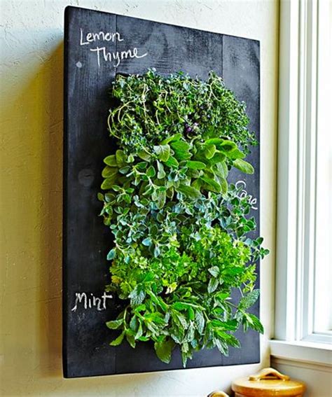 Small Kitchen Living Wall With Herbs Vertical Garden
