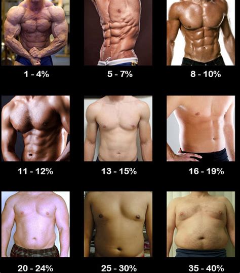 Body composition is the proportion of fat relative to lean tissue, such as muscles, organs, bones. What's the Difference Between 10, 15 & 20% Body Fat ...