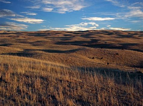 Beautiful Nebraska Peaceful Prairie Land Nebraska Sandhills
