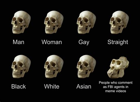 Always Seeing These Dumbasses Skull Comparisons Know Your Meme