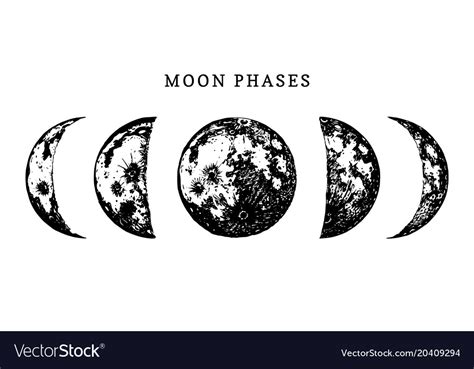Moon Phases Image On White Background Hand Drawn Vector Image