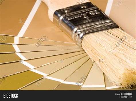 Paint Swatch Samples Image And Photo Free Trial Bigstock