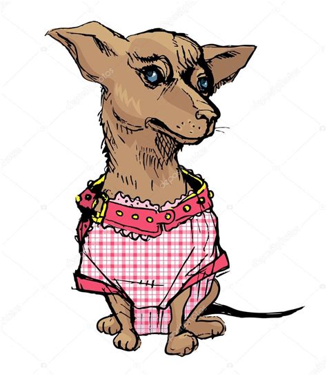 Research has shown that dog owners have more active lifestyles. Cute small chihuahua dog wearing checkered pink overalls ...