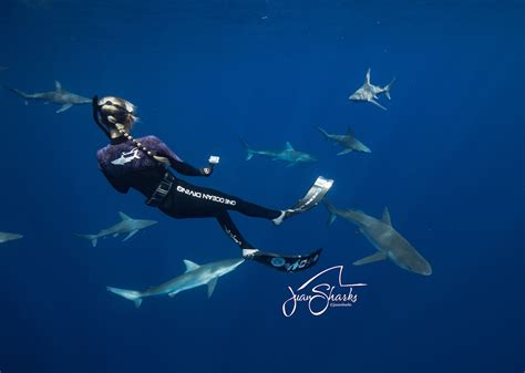 Learning Shark Communication With Ocean Ramsey