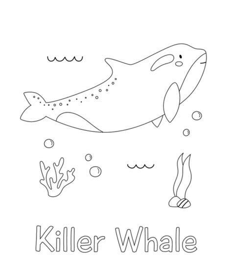 Vector Set Of Sea Animals And Plants Black And White Outline