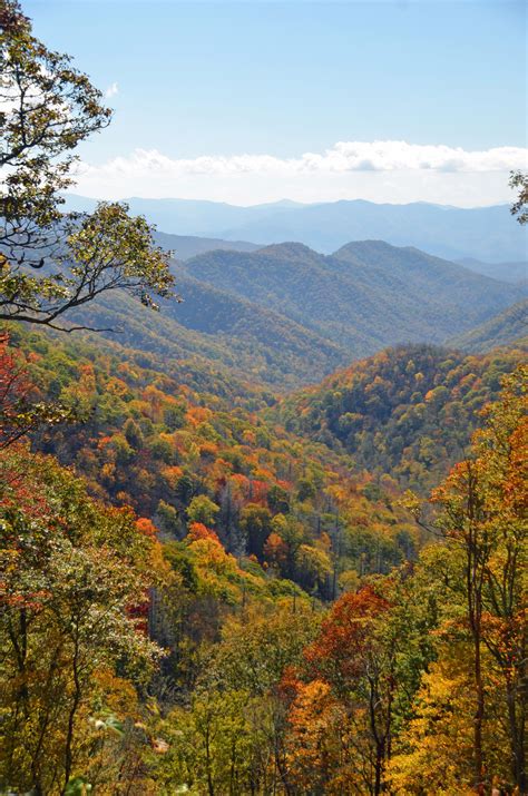 Fall In The Great Smoky Mountains Of Bryson City North Carolina Nc