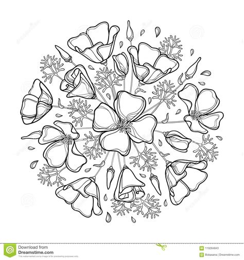 Free Free 342 Poppy Flower Outline Svg SVG PNG EPS DXF File