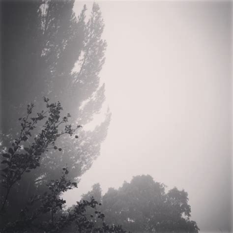 Foggy Morning 6 Via Instagram My Word With Douglas E Welch