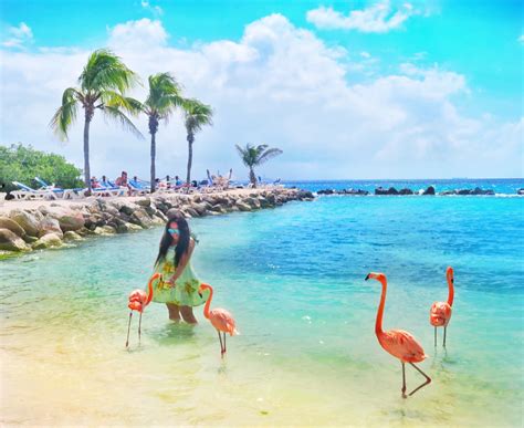 Aruba Travel Guide Wanderlust Beauty Dreams