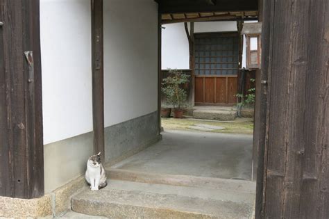 Gatekeeper Cat By Tomigon On Deviantart