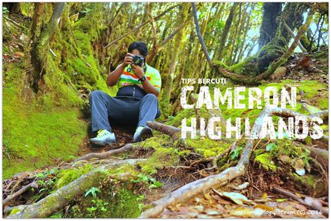 Kali terakhir saya ke cameron highland (ch) ialah pada tahun 1992. mrkumai.blogspot.com: Tips Bercuti di Cameron Highlands 21