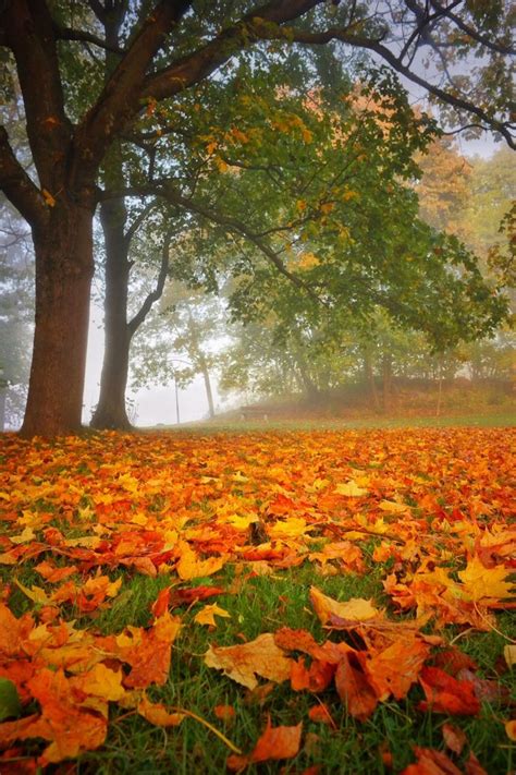 The Colors Of Fall Autumn Scenery Beauty Landscapes Autumn Scenes