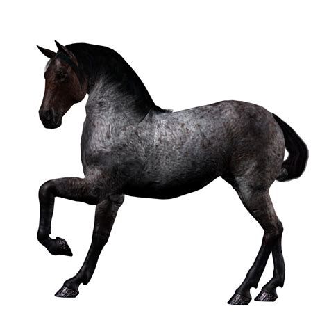 Cheval Png Images Transparent Background Png Play