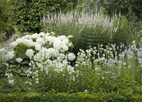 How To Design A Moon Garden