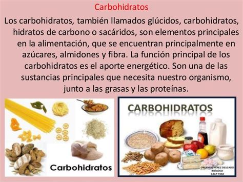 Que Son Los Carbohidratos Y Como Benefician La Salud Images