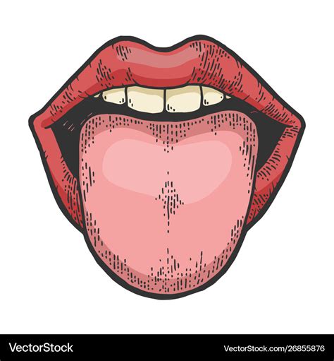 Drawing Of Tongue With Parts Tongue Drawing How To Draw A Tongue Step Hot Sex Picture