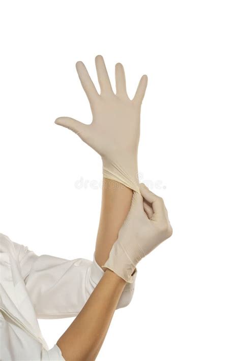 Woman Hands Putting Latex Gloves Stock Photos Free Royalty Free